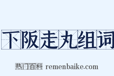 下阪走丸组词是什么意思的图片
